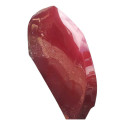 Capo Dianteiro Onix Vermelho 2021 / 2023 Original (usado)