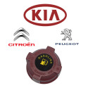 Tampa Reservatorio Gasolina Partida Frio Peugeot Citroen Kia Vermelho