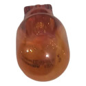 Lâmpadas Camarão T15 16w 12v Laranja