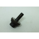Parafuso Da Polia Virabrequim Ford Focus 2.0 16v Powershift 