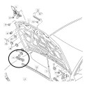 Acabamento Capo Audi A5 10 À 12 8t0823722 Lado Direito 