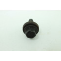 Parafuso Da Polia Virabrequim Ford Focus 2.0 16v Powershift 