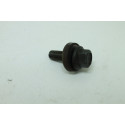 Parafuso Da Polia Virabrequim Ford Focus 2.0 16v Powershift 