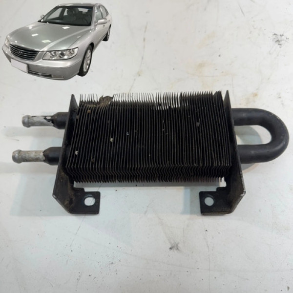 Radiador Resfriador Oleo Direção Azera 3.3 2008 2009 2010