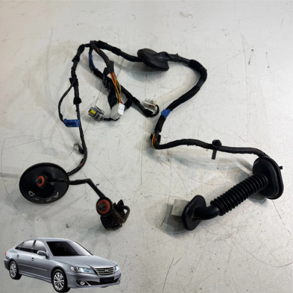 Chicote Porta Traseira Direita Hyundai Azera 2009 A 2011