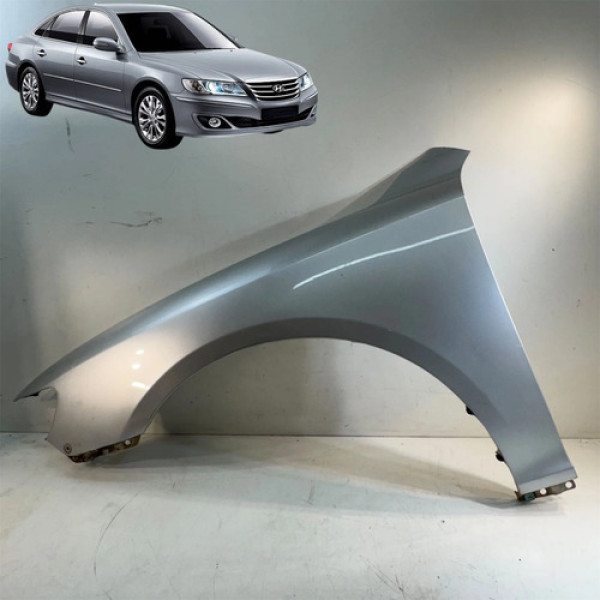 Paralama Esquerdo Hyundai Azera 2008 2009 2010 Detalhe