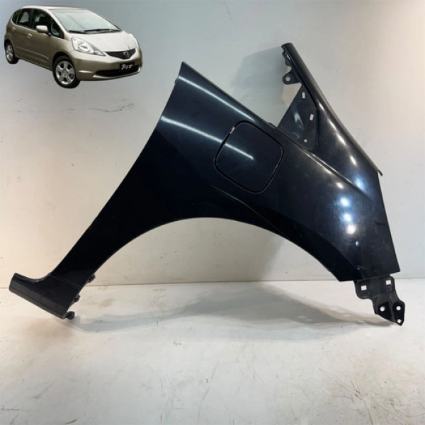Paralama Direito Honda Fit 2009 A 2014 Original C/portinhola