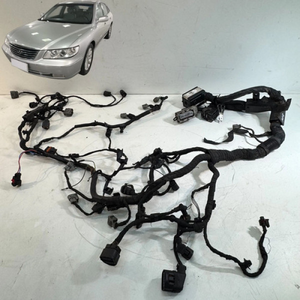Chicote Motor Injeção Hyundai Azera 3.3 2008 A 2010
