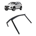 Borracha Friso Da Porta Dianteira Esquerda Tiggo Chery 2023 Preto