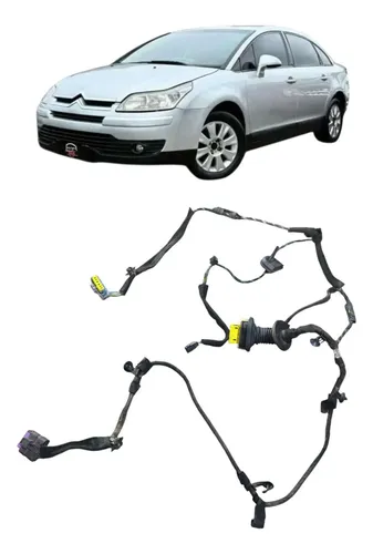 Chicote Da Porta Traseira Direita Citroën C4 Pallas 2008