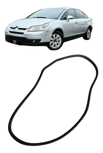 Borracha Carroceria Pt Tras Direita Citroën C4 Pallas 2008