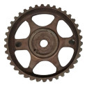Polia Correia Dentada