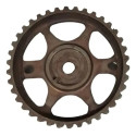 Polia Correia Dentada