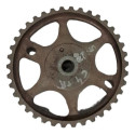 Polia Correia Dentada