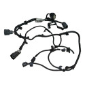 Chicote Porta Traseira Direita Ecosport 1.5 At 2020 Original