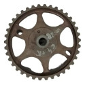 Polia Correia Dentada