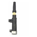 Bobina De Ignição Magneti Marelli Ford Megane 2011/2021
