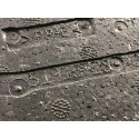 Absorvedor Impacto Traseiro Dir Grand Siena 12/21 50682