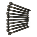 Parafusos Cabeçote Audi A6 Jetta Golf 2.0 Tsi 14/17 46473