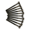 Parafusos Cabeçote Audi A6 Jetta Golf 2.0 Tsi 14/17 46473