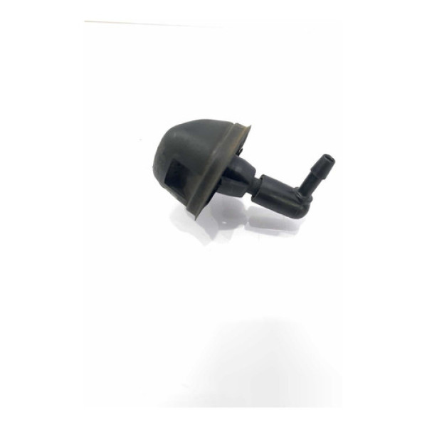 Brucutu Esguicho Traseiro Fiat Palio 2012