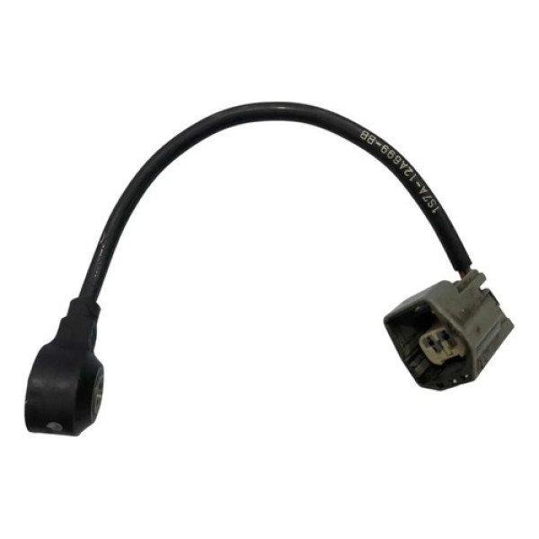 Sensor Detonação Ford Ecosport 2.0 2015/2018      11898