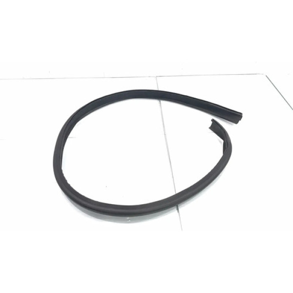 Borracha Pingadeira Teto Lado Esquerdo Renault Captur 17/23