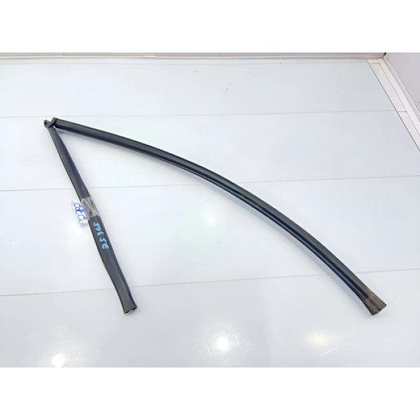 Borracha Canaleta Porta Traseira Direita Renaul Logan 15/20 Preto