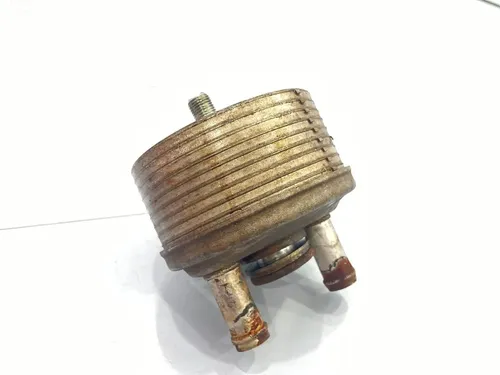 Resfriador Oleo Cambio Volkswagen Jetta/bora/golf 09g