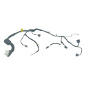 Chicote Porta Dianteira Direito Kia Carnival 2008 A 2010