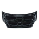 Capô Nova Daily 2008 A 18 Original Iveco C/ Detalhe 3800056