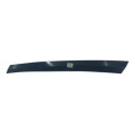 Tiara Lado Direito Marcopolo Paradiso 1800 G7 Orig