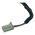 Chicote Porta Dianteira Direito Kia Carnival 2008 A 2010