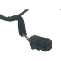 Chicote Porta Dianteira Direito Kia Carnival 2008 A 2010