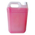 Aditivo Radiador Original Concentrado Organico 5l Etaniz
