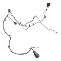 Chicote Porta Traseira Direita Chevrolet Astra 2003