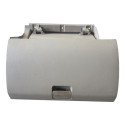 Porta Luvas Captiva 08/12 96830503