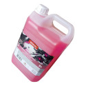 Aditivo Radiador Original Concentrado Organico 5l Etaniz