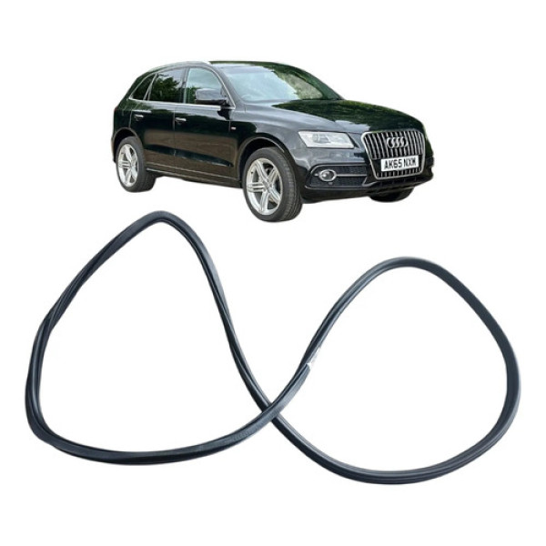 Borracha Porta Traseira Direita Audi Q5 2015 Preto