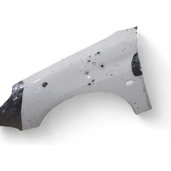 Paralama Esquerdo Peugeot 206 99/11(recuperado)