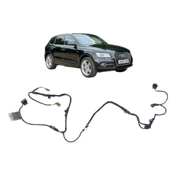Chicote Forro Porta Traseira Esquerda Audi Q5 2015 Preto
