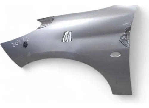 Paralama Esquerdo Peugeot 207 08/15 (recuperado)
