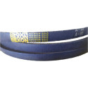 Correia Em V Lisa Rexon A93 