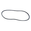 Correia Simples Lisa Eurobelt A-61