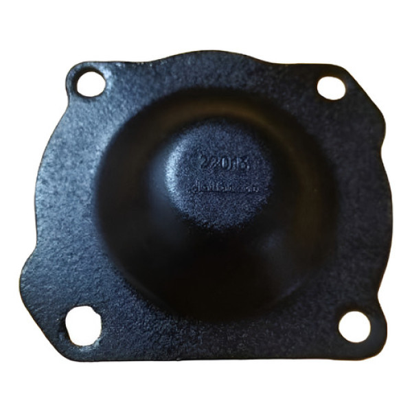 Tampa Rolamento Traseiro Contra Eixo Fs5005a Tn4301231