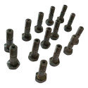  Kit 14 Parafusos Oco Bomba Injetora Valtra  835336943
