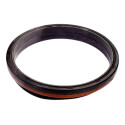  Retentor Traseiro Virabrequim F250 F4000 