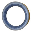 Retentor Wylerson 58x40x7 Mm - 51961 C/ Marcas Armazenamento
