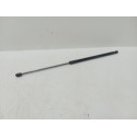 Amortecedor Tampa Traseira  Focus 2013 2017  Hatch  M14672