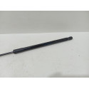Amortecedor Tampa Traseira  Focus 2013 2017  Hatch  M14672